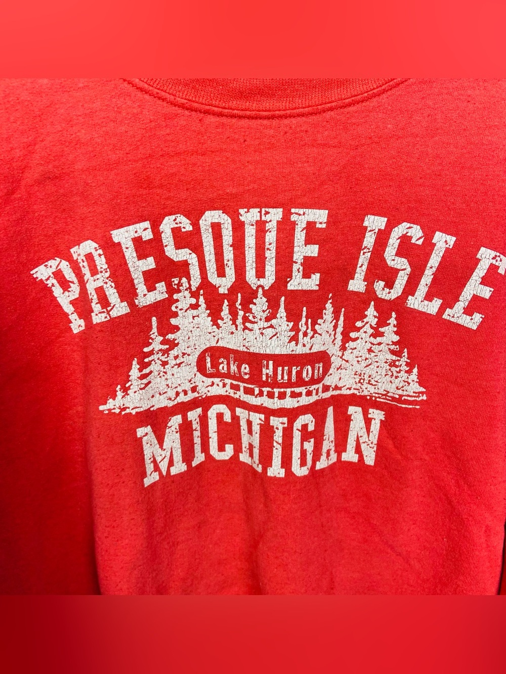 Artisan Red Presque Isle Lake Huron Michigan Graphic unisex Crewneck Sweatshirt - Picture 4 of 11